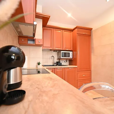 Spacious Victus With Parking And Balcony In By Renters Sopot
